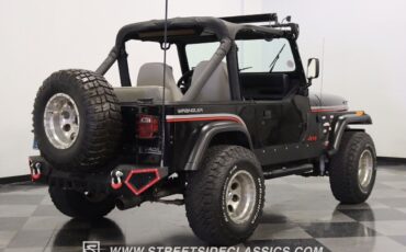 Jeep-Wrangler-1991-Black-Gray-287194-10