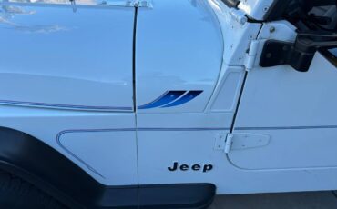 Jeep-Wrangler-1993-white-90123-12