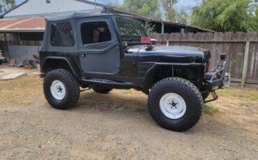 Jeep-Wrangler-1994-black-257494-11