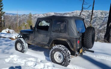 Jeep-Wrangler-1994-black-257494-4