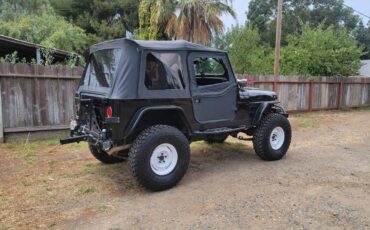 Jeep-Wrangler-1994-black-257494-9