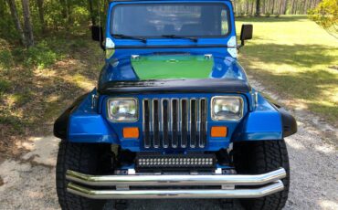 Jeep-Wrangler-1994-blue-1609-3