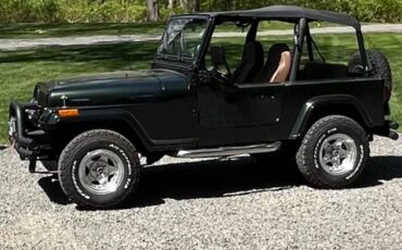 Jeep-Wrangler-1995-185074