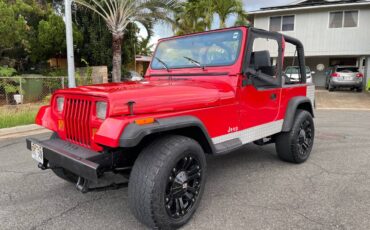 Jeep-Wrangler-1995-249448