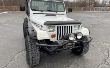 Jeep-Wrangler-1995-White-Gray-185915-13