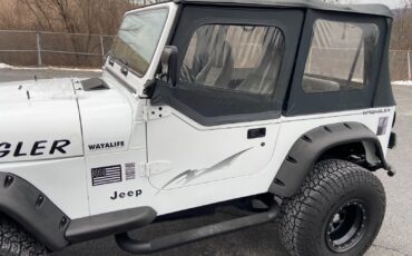 Jeep-Wrangler-1995-White-Gray-185915-16