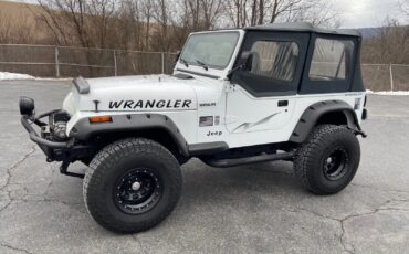 Jeep-Wrangler-1995-White-Gray-185915-2