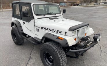 Jeep-Wrangler-1995-White-Gray-185915-23