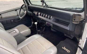 Jeep-Wrangler-1995-White-Gray-185915-30