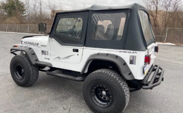 Jeep-Wrangler-1995-White-Gray-185915-5