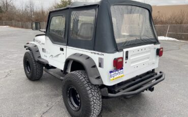 Jeep-Wrangler-1995-White-Gray-185915-6