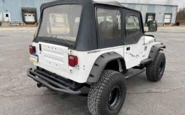 Jeep-Wrangler-1995-White-Gray-185915-8