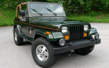 Jeep-Wrangler-1995-green-39493-1