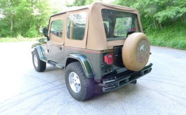 Jeep-Wrangler-1995-green-39493-10