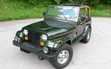 Jeep-Wrangler-1995-green-39493-2