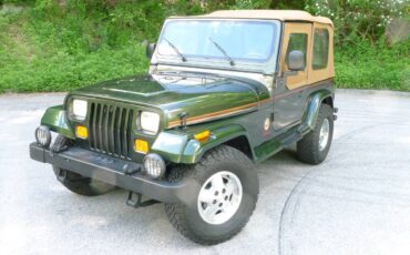 Jeep-Wrangler-1995-green-39493-5