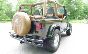 Jeep-Wrangler-1995-green-39493-6