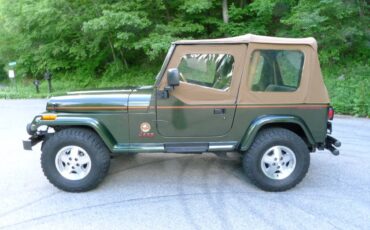 Jeep-Wrangler-1995-green-39493-8