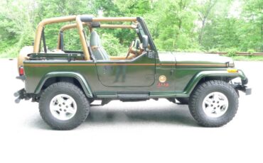 Jeep-Wrangler-1995-green-39493-9