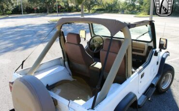 Jeep-Wrangler-Cabriolet-1991-White-Tan-204926-11