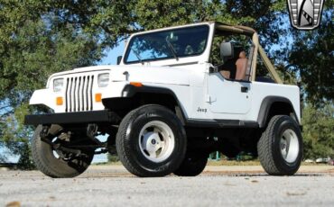 Jeep-Wrangler-Cabriolet-1991-White-Tan-204926-2