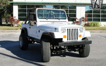 Jeep-Wrangler-Cabriolet-1991-White-Tan-204926-3