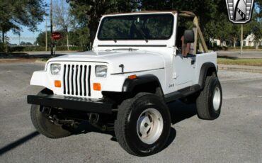 Jeep-Wrangler-Cabriolet-1991-White-Tan-204926-4