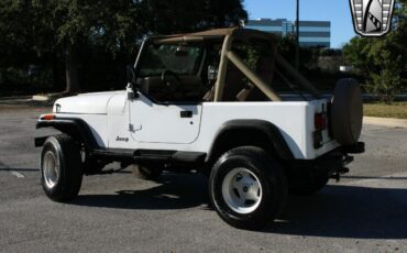 Jeep-Wrangler-Cabriolet-1991-White-Tan-204926-5