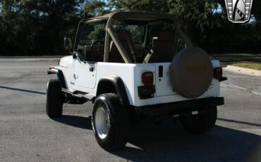 Jeep-Wrangler-Cabriolet-1991-White-Tan-204926-6