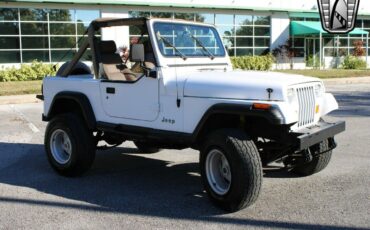 Jeep-Wrangler-Cabriolet-1991-White-Tan-204926-8