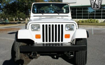 Jeep-Wrangler-Cabriolet-1991-White-Tan-204926-9