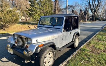 Jeep-Wrangler-SUV-1992-Blue-Black-149669-8