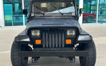 Jeep-Wrangler-SUV-1993-Black-Gray-321668-1