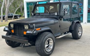 Jeep-Wrangler-SUV-1993-Black-Gray-321668-11