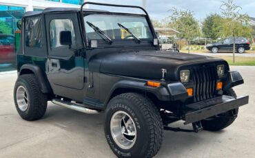 Jeep-Wrangler-SUV-1993-Black-Gray-321668-2