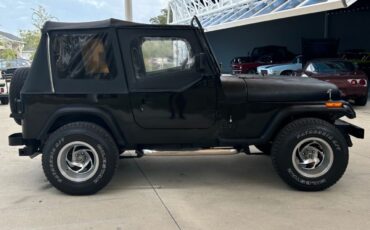 Jeep-Wrangler-SUV-1993-Black-Gray-321668-3