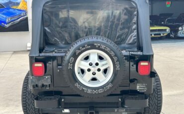 Jeep-Wrangler-SUV-1993-Black-Gray-321668-5