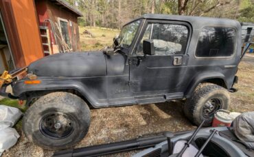 Jeep-Wrangler-sahara-1989-black-349357-5