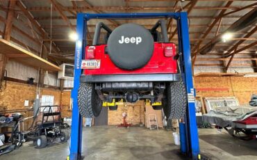 Jeep-Wrangler-sport-1994-red-189902-15