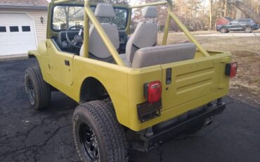 Jeep-Wrangler-yj-1989-green-212433-6