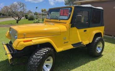 Jeep-Wrangler-yj-1990-yellow-196339-3