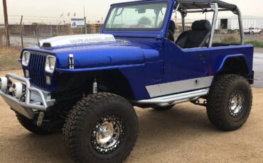 Jeep-Wrangler-yj-1992-blue-196339