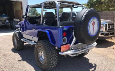 Jeep-Wrangler-yj-1992-blue-196339-7