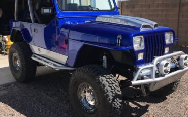 Jeep-Wrangler-yj-1992-blue-196339-8