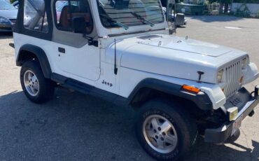 Jeep-Yj-1991-151278-6