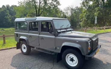 Land-rover-Defender-110-diesel-1990-grey-205996-2