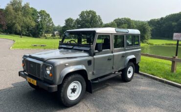 Land-rover-Defender-110-diesel-1990-grey-205996