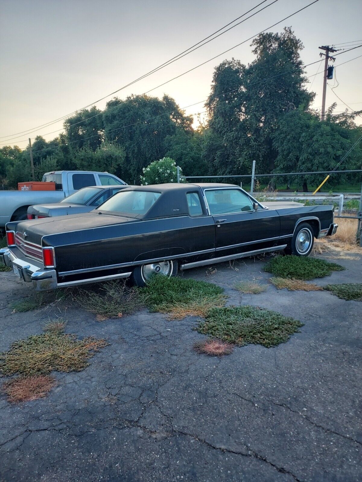 Lincoln-Continental-Coupe-1977-251058-1