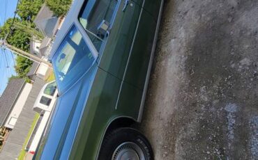 Lincoln-Continental-town-car-1974-green-136002