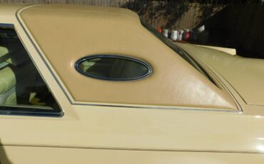 Lincoln-Mark-v-1978-yellow-65983-3